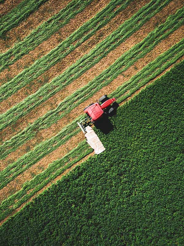 Landwirtschaftsmaschine auf Feld