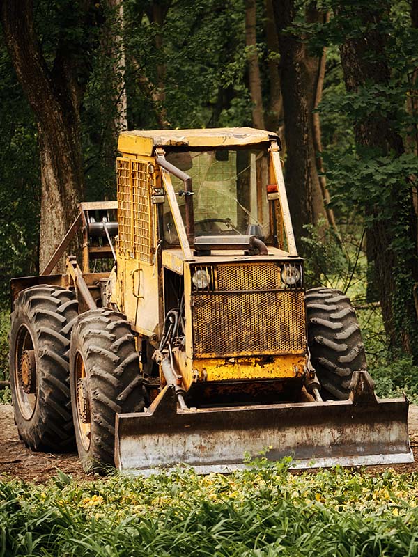 Nutzfahrzeug im Wald
