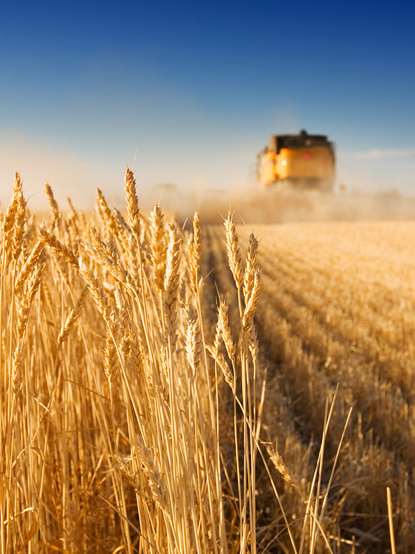 Landwirtschaftsmaschine auf Feld